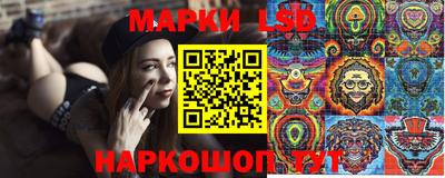 ECSTASY Гатчина