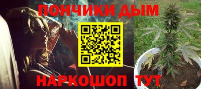 ПСИЛОЦИБИНОВЫЕ ГРИБЫ Гай