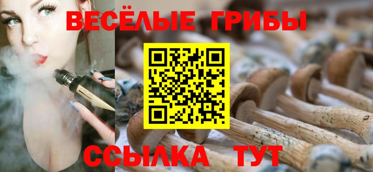 Галлюциногенные грибы Cubensis  Вход с VPN  Усть-Илимск 